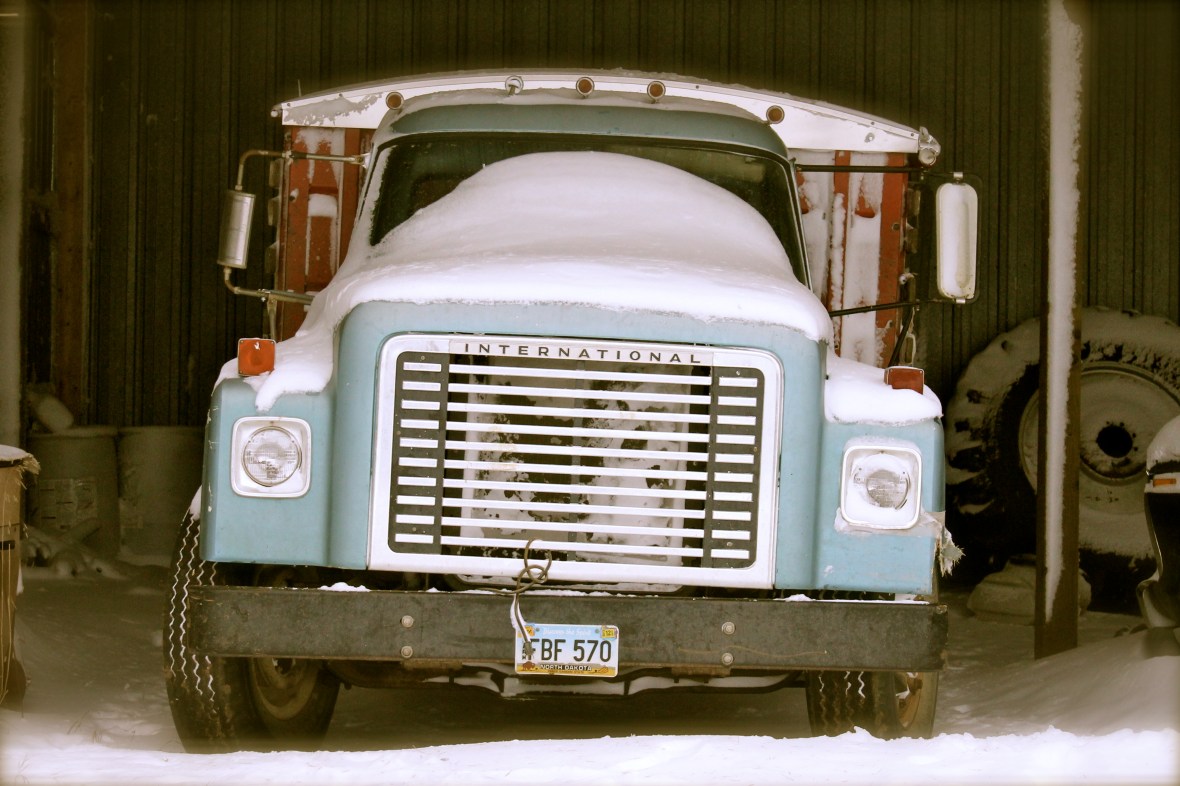 Just stay there until school is over, please!