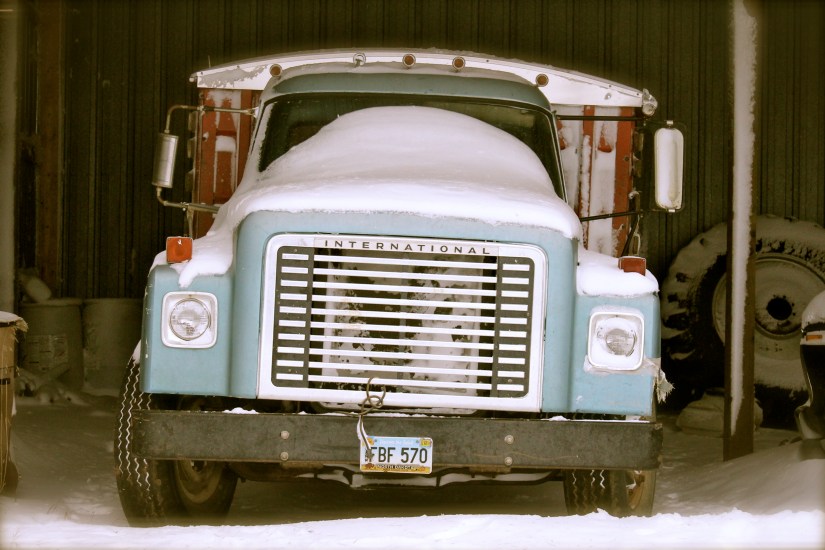 Just stay there until school is over, please! 