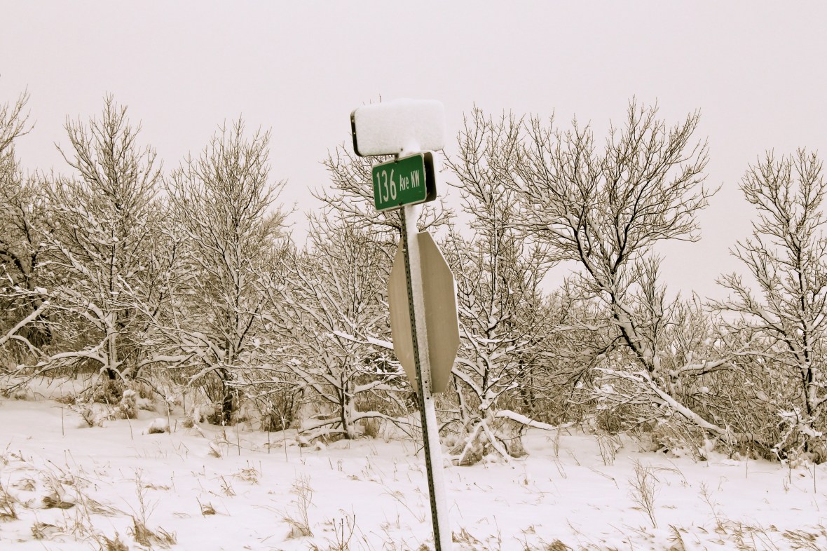 The corner of Snow Day and Utter Bliss