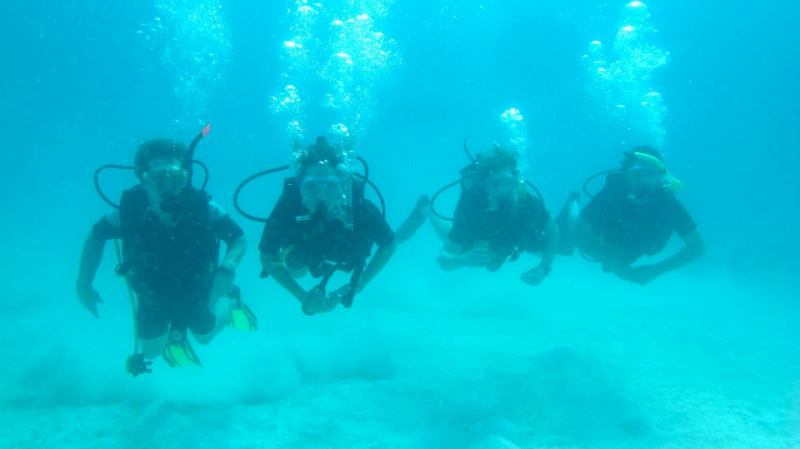 1510549_797583709437_751919358_n